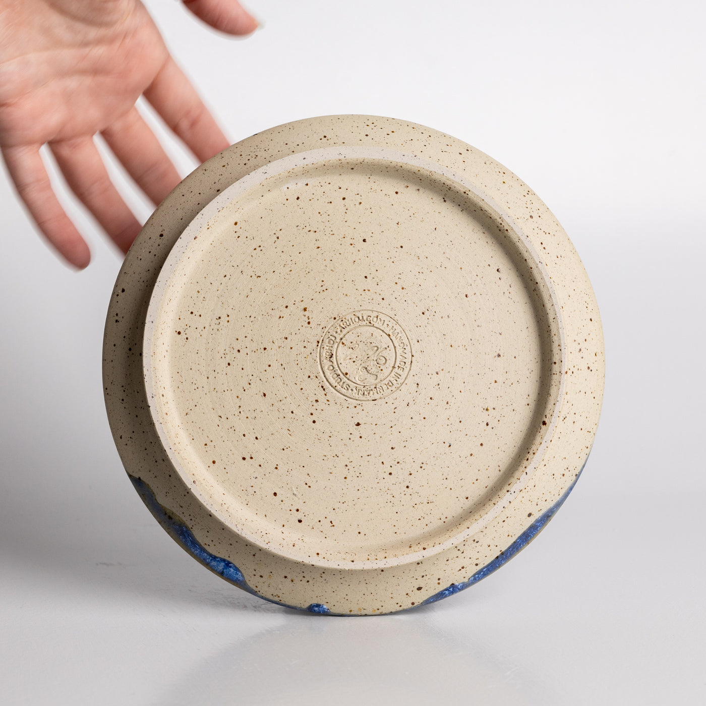 Wall Dish