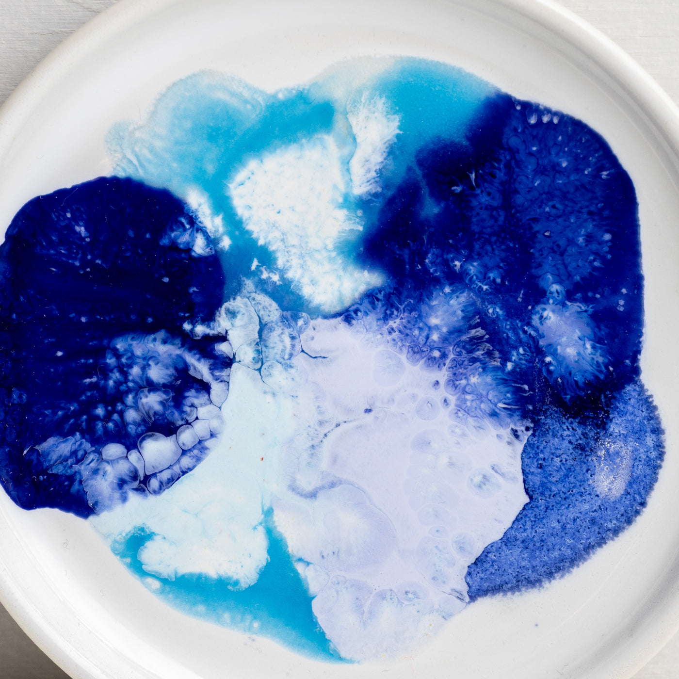 Petri Dish