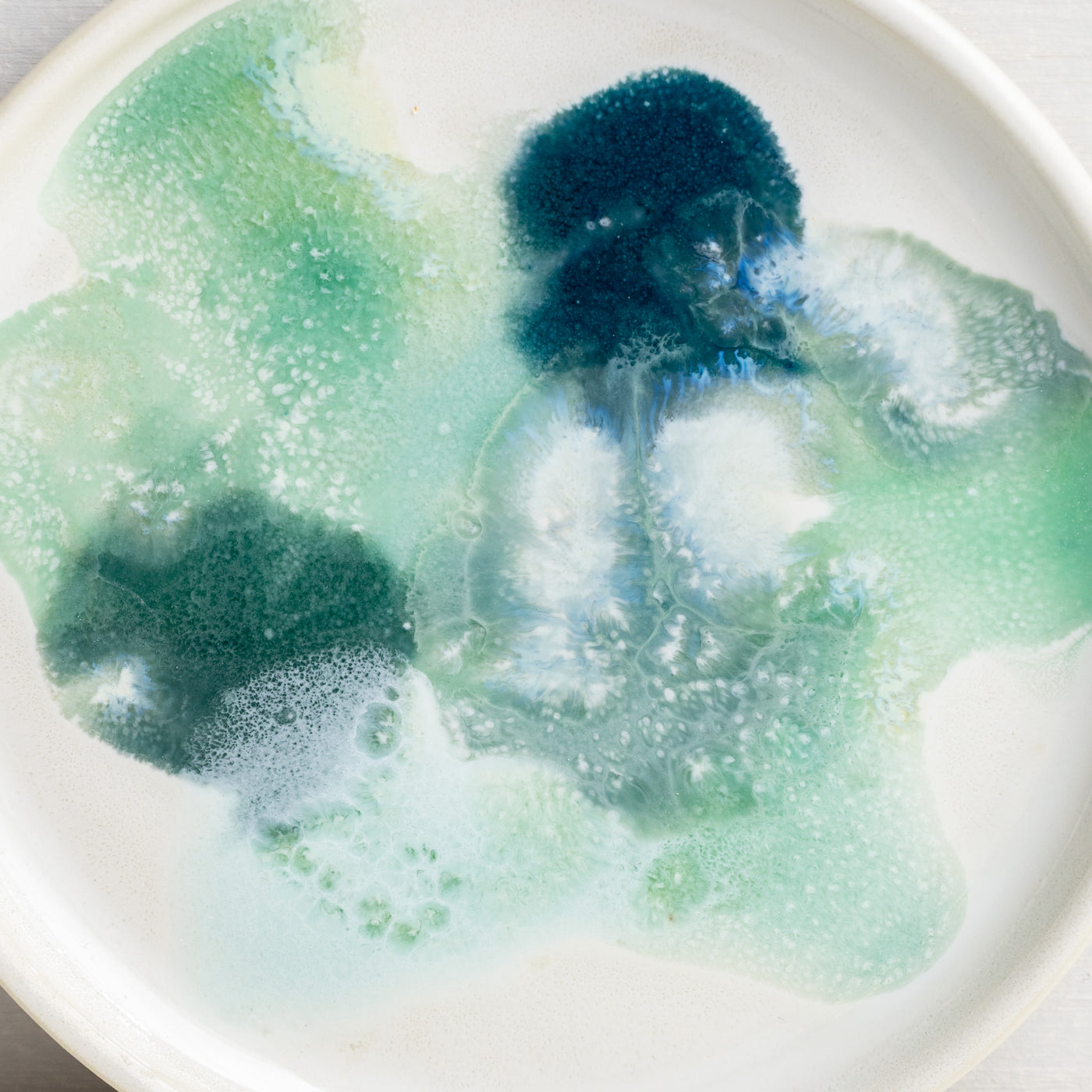 Petri Dish