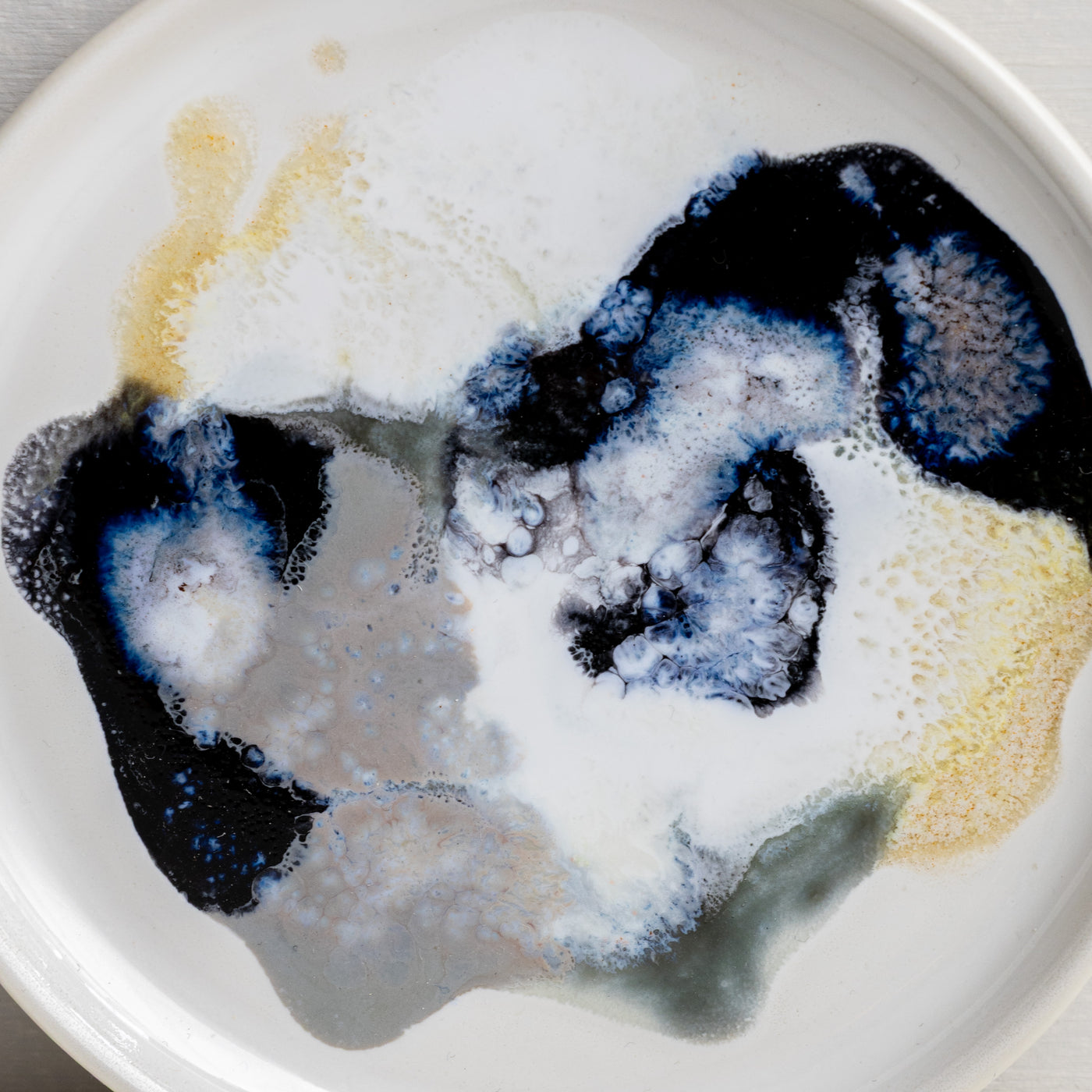 Petri Dish