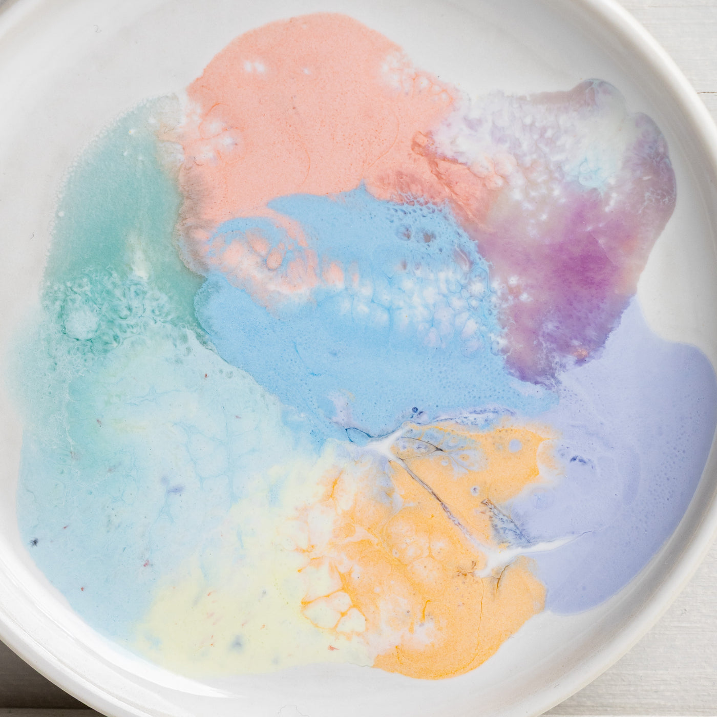 Petri Dish
