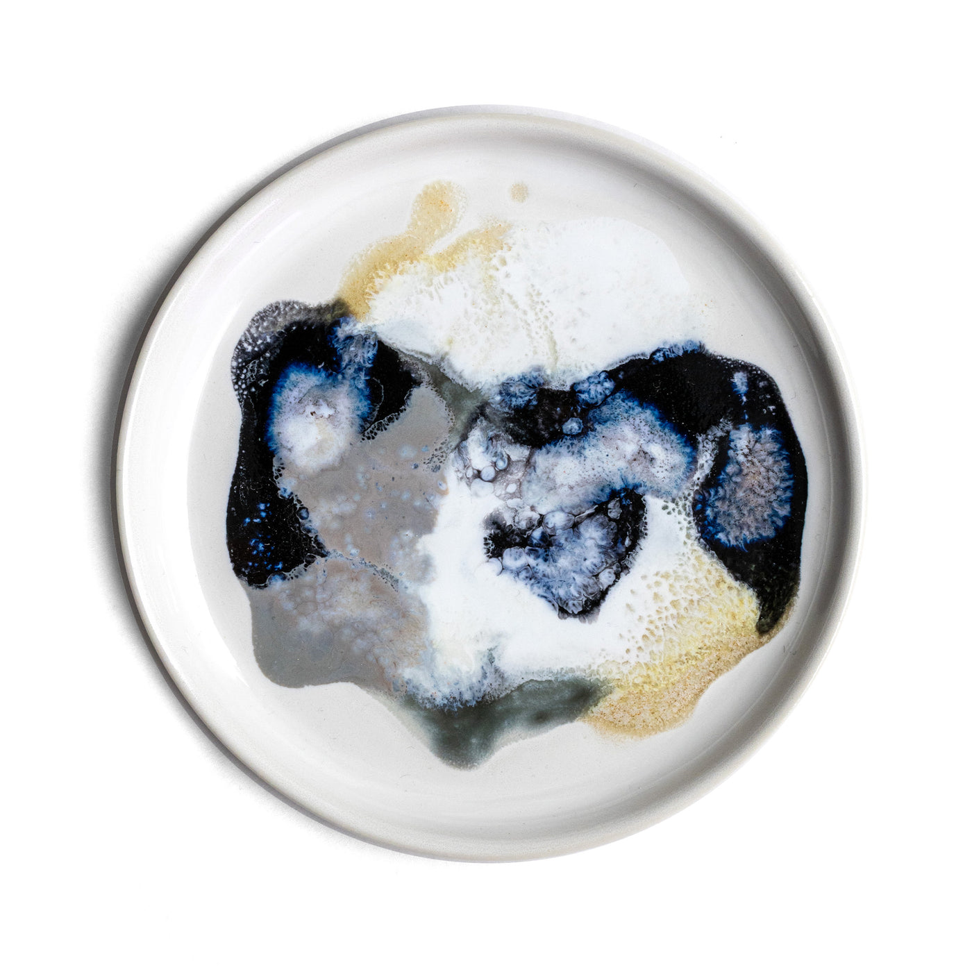 Petri Dish