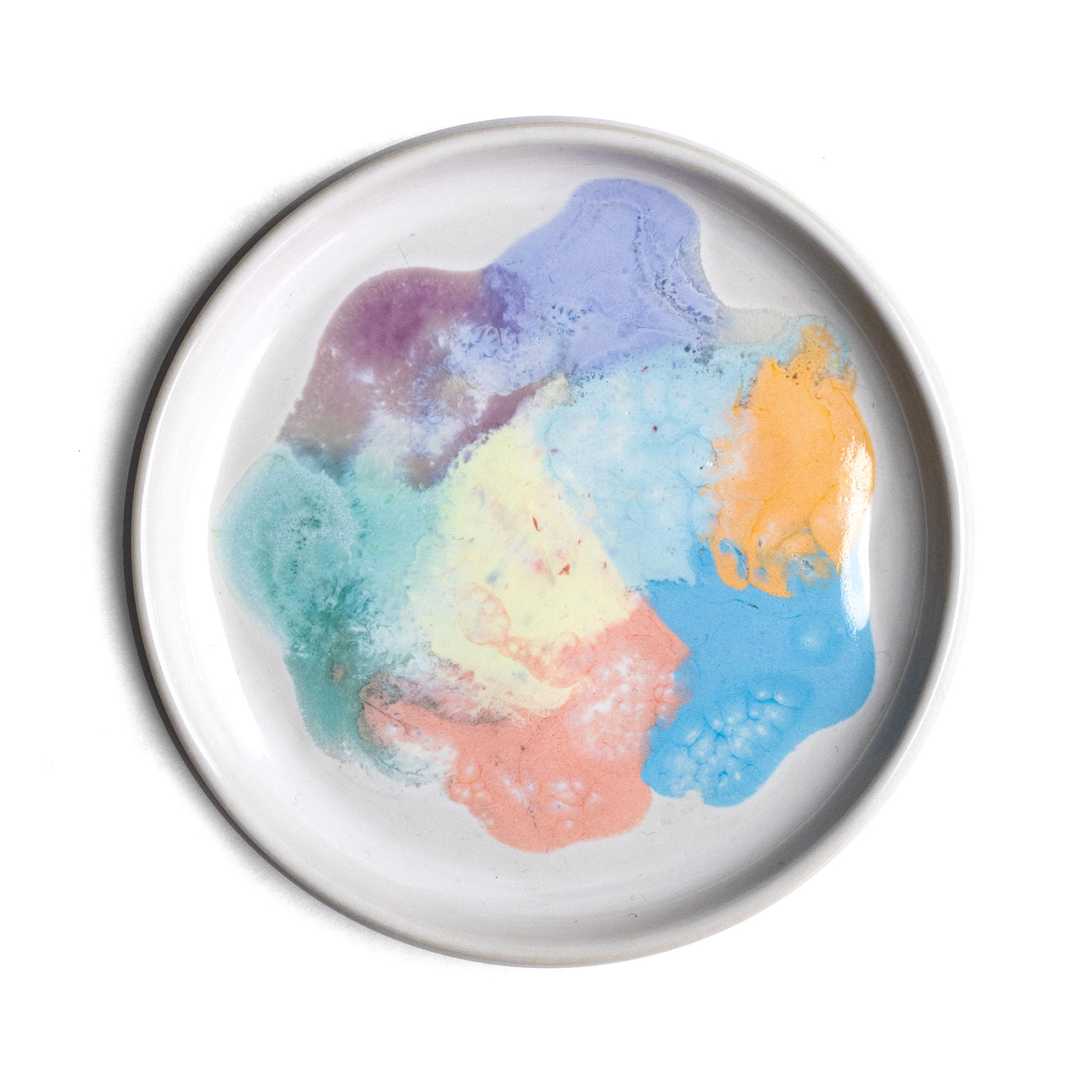 Petri Dish